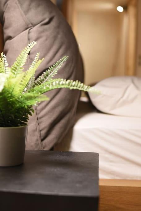 Sommaripa Loft In Old Town Ferienhaus *